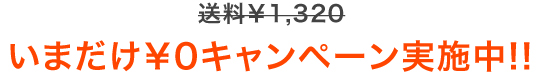 いまだけ￥0キャンペーン実施中!!