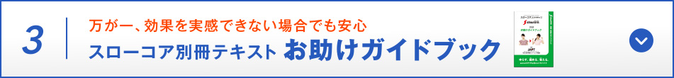 効果を実感できない場合も安心 スローコア別冊テキスト お助けガイドブック